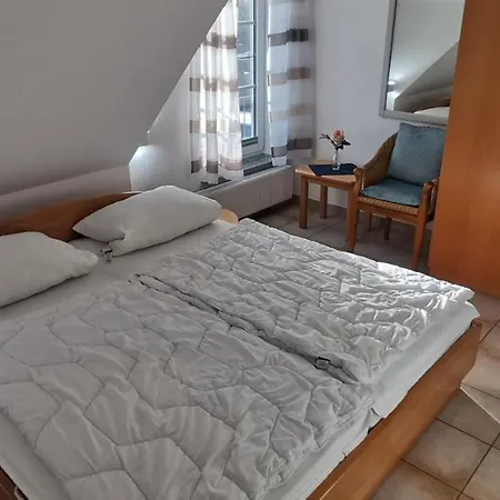 Mannis Insel זינקסט